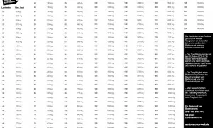 Reifenbezeichnungen: Tabelle zeigt Lastindex und maximale Traglast von Reifen. Ein Beispiel erklärt, wie der Lastindex 94 bei 205/55 R16 94 V zu interpretieren ist.