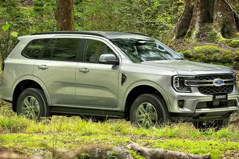 Silberner Ford Everest fährt durch grünen Wald in Deutschland.