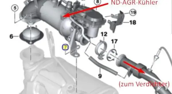 Explosionszeichnung eines Diesel-AGR-Kühlers. Ein roter Pfeil zeigt auf den Kühler, der für den abgasgeruch im innenraum diesel verantwortlich sein kann.