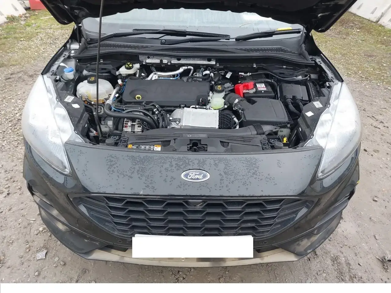Motorraum eines Ford Kuga 190 PS Diesel. M&ouml;gliche Probleme mit dem Dieselmotor sind hier zu sehen.