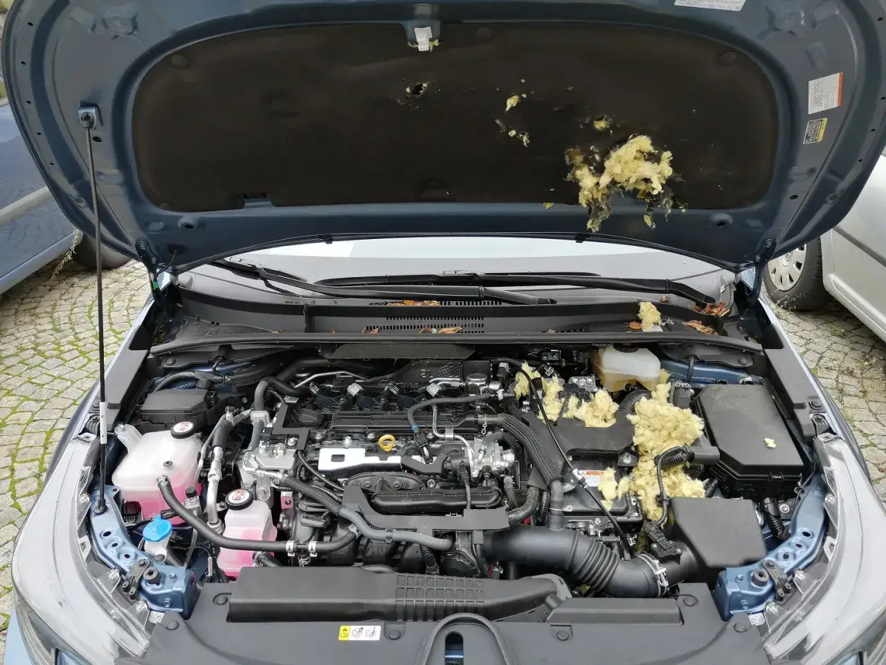Motorhaube dämmmatte beschädigt, Isolierung zerfetzt. Ein Marder hat hier wohl sein Unwesen getrieben und die Dämmung der Motorhaube zerlegt.