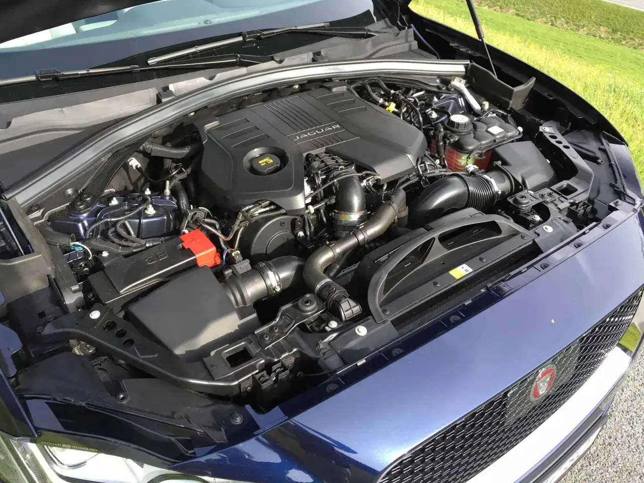 Der Jaguar F-PACE 3.0 Diesel Motor, Hersteller Jaguar, ist unter der geöffneten Motorhaube zu sehen.