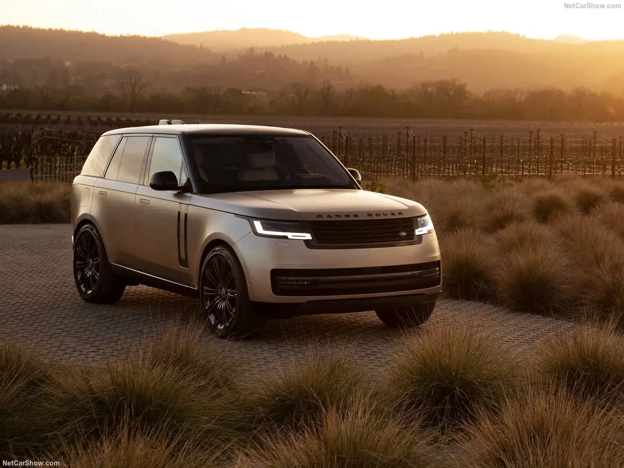 Ein goldener Range Rover steht auf einem gepflasterten Weg, umgeben von hohem Gras und Weinbergen bei Sonnenuntergang. Die Frage 